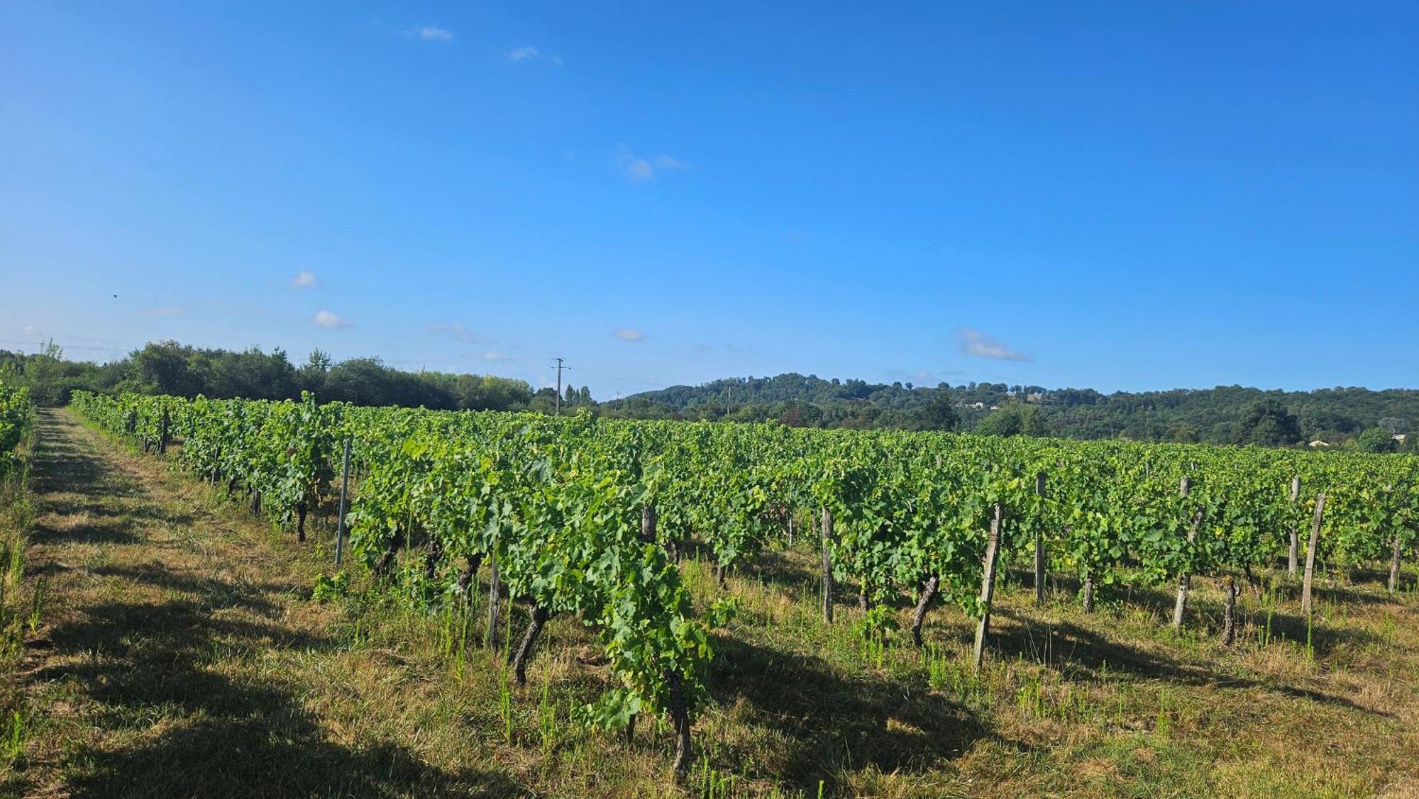 Le Fleix Chambres Et Gites Les Deux Chenes Pres De Bergerac المظهر الخارجي الصورة