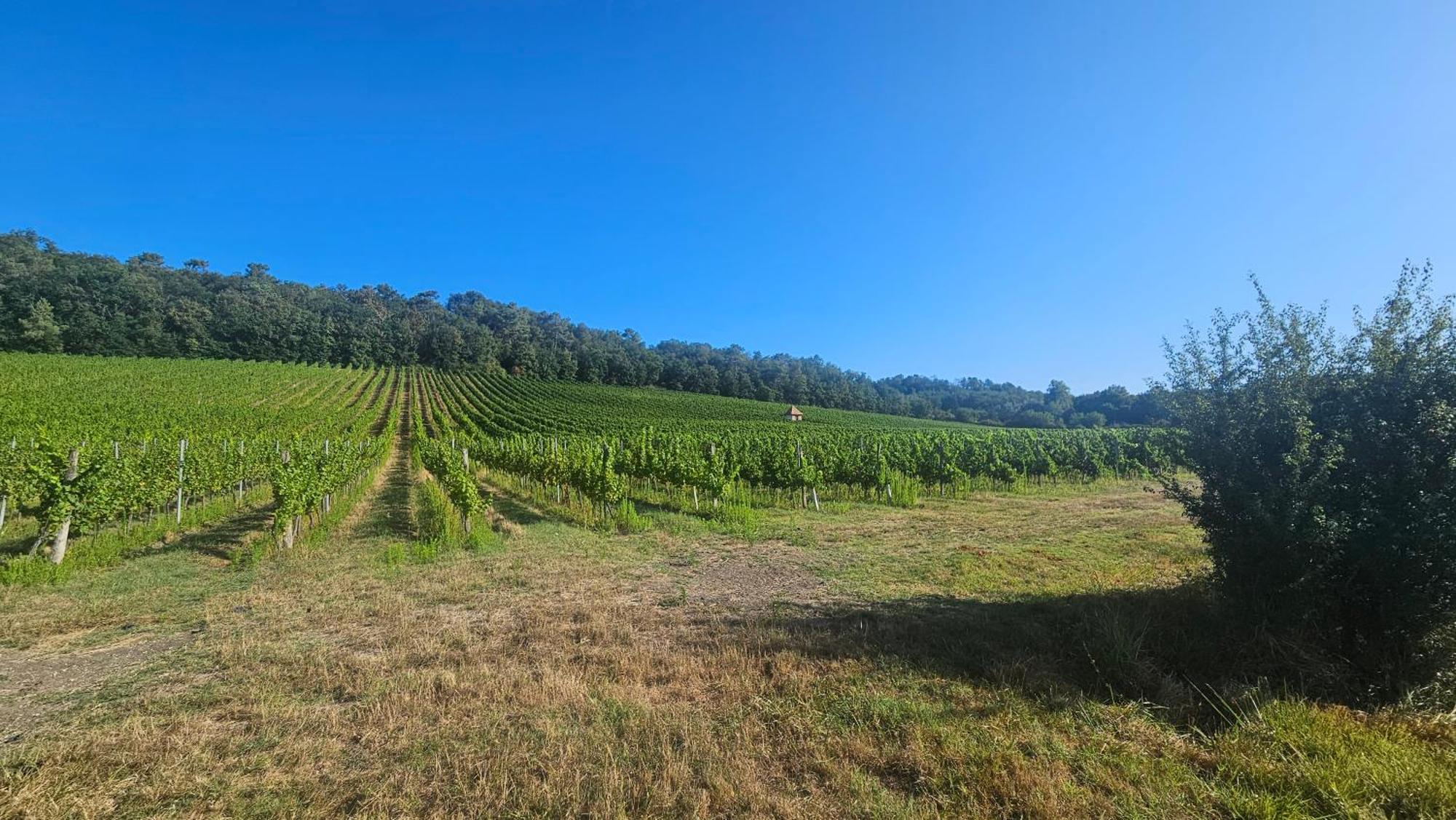 Le Fleix Chambres Et Gites Les Deux Chenes Pres De Bergerac المظهر الخارجي الصورة